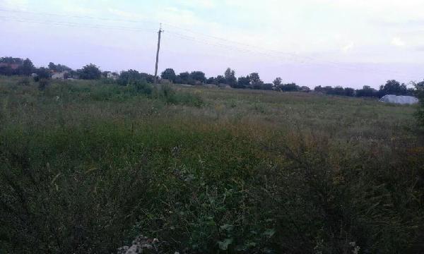  - фото нерухомості